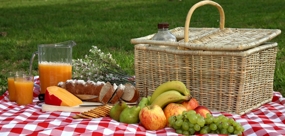 Zomers voedsel- Gezond en Gewicht